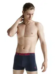Pamuklu Esnek Bel Lastiği Erkek Boxer US. POLO Assn. 80097